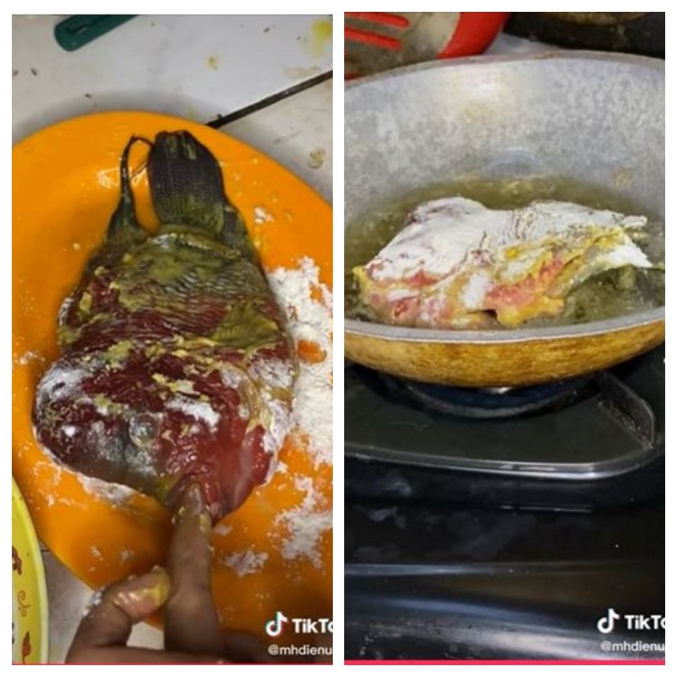 Ikan louhan goreng (TikTok @mhdienullah)