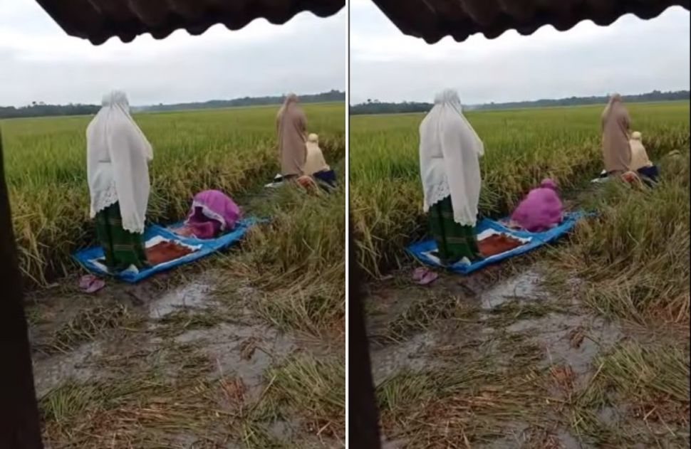 Ibu-ibu petani salat di pinggiran sawah (Instagram/memomedsos)