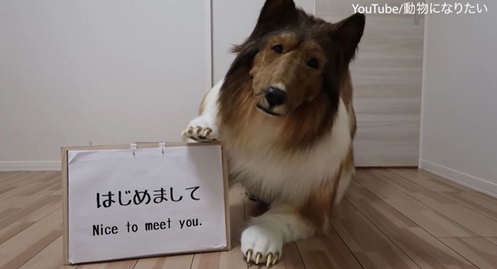 Pria asal Jepang beli kostum ratusan juta demi bisa hidup seperti anjing (YouTube/¿¿¿¿¿¿(Iwanttobeanimal))