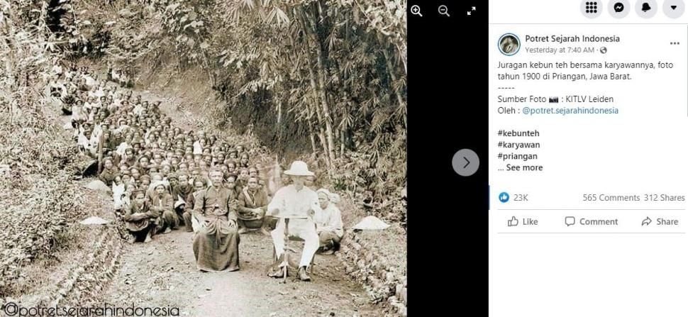 Foto jadul juragan kebun teh dan karyawannya. (KITLV Leiden via Facebook Potret Sejarah Indonesia)