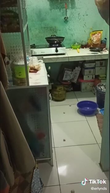 Cimol meledak (TikTok @erlynds)