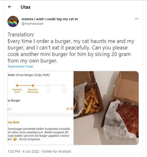 Burger untuk kucing (Twitter @memesiwish)
