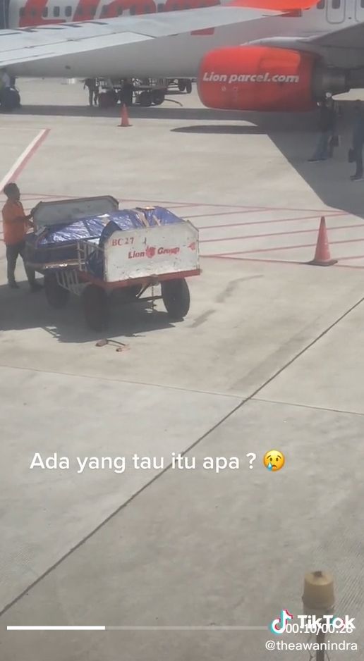 Seorang petugas kargo bandara mendadak viral dan mendapat banyak pujian dari publik, setelah terekam kamera melindungi peti jenazah dari teriknya sinar Matahari. [TikTok]