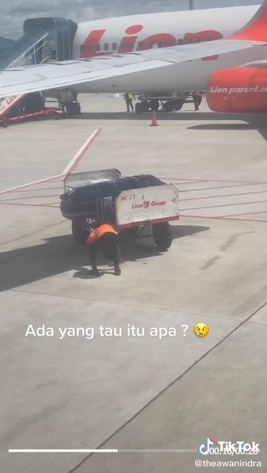 Seorang petugas kargo bandara mendadak viral dan mendapat banyak pujian dari publik, setelah terekam kamera melindungi peti jenazah dari teriknya sinar Matahari. [TikTok]