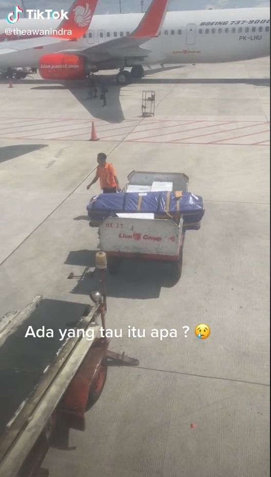 Seorang petugas kargo bandara mendadak viral dan mendapat banyak pujian dari publik, setelah terekam kamera melindungi peti jenazah dari teriknya sinar Matahari. [TikTok]