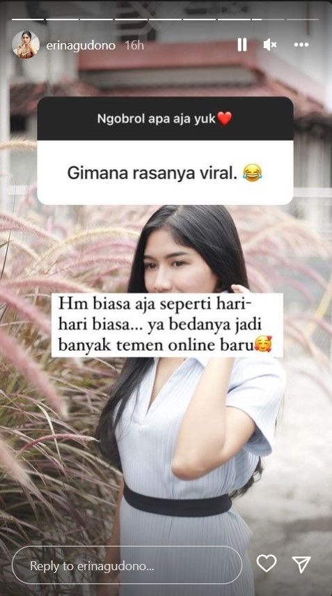 Instagram Erina Gudono yang menjawab netizen. [Instagram]