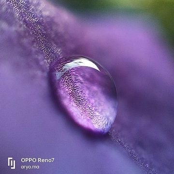 Hasil foto Reno7 microlens. [Oppo Indonesia]