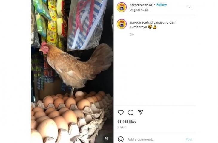 Fresh dari Sumbernya, Cara Warung Ini Jualan Telur Ayam Bikin Warganet Heran. (Instagram/@parodireceh.id)