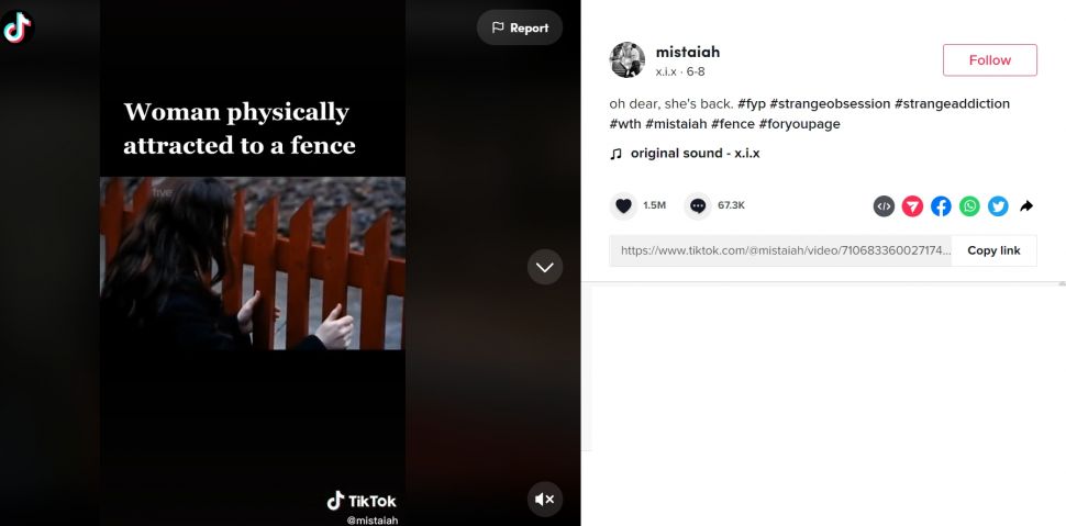 Viral seorang wanita di TikTok yang jatuh hati dan tertarik secara seksual dengan pagar (TikTok/mistaiah)