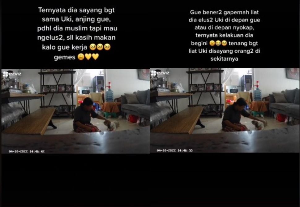 Perilaku ART pada anjing (tiktok.com/@nosugar.pls)