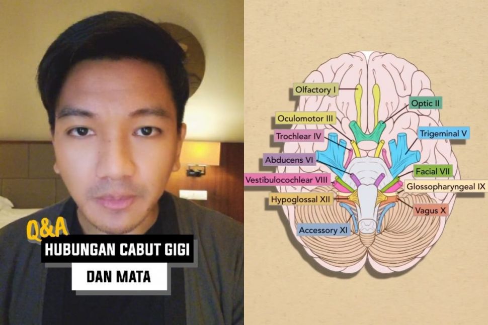 Cabut gigi atas sebabkan kebutaan (Instagram @doktergigi_)