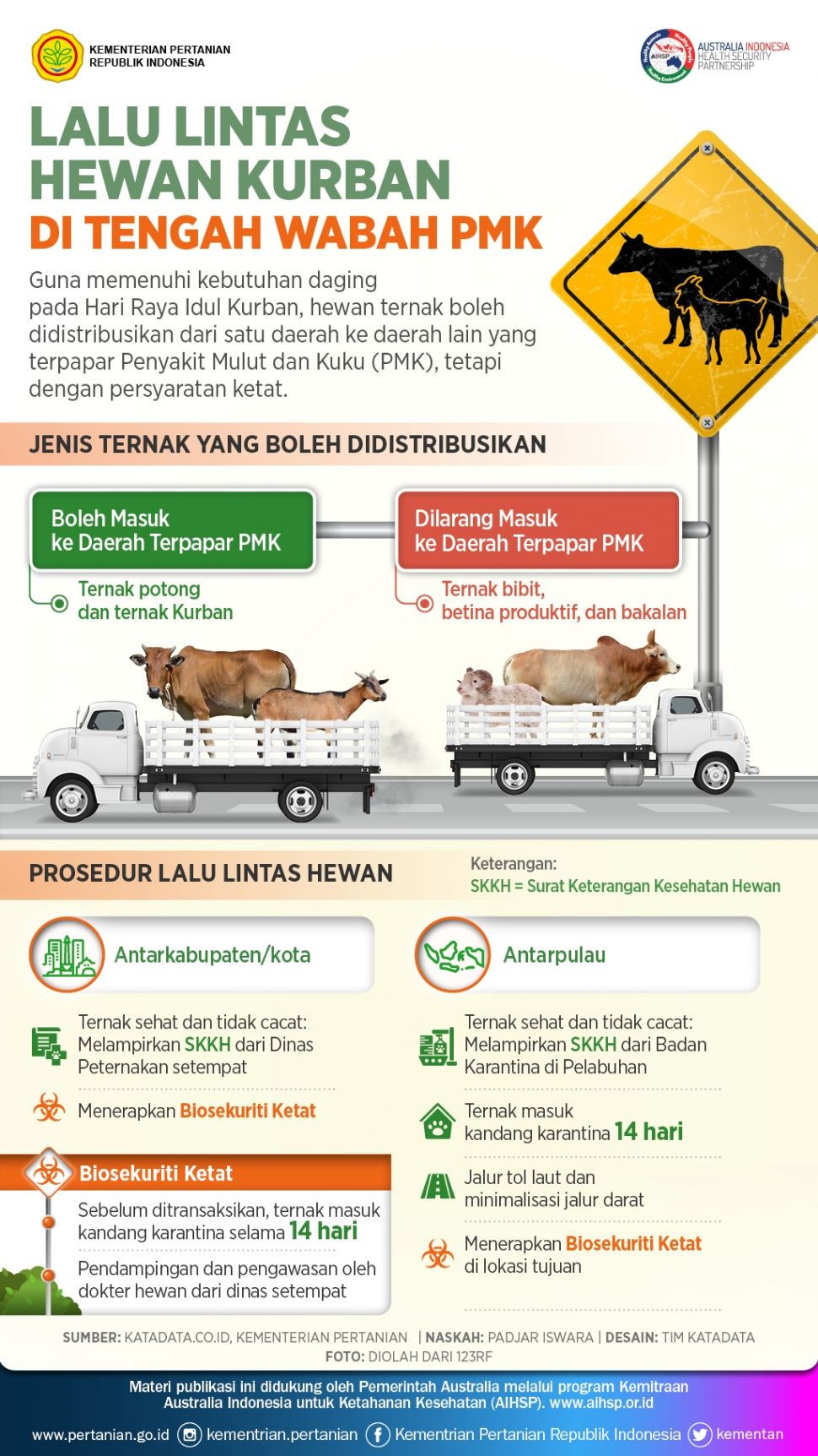 Infografis lalu lintas hewan kurban di tengah wabah PMK. (Dok: Kementan)