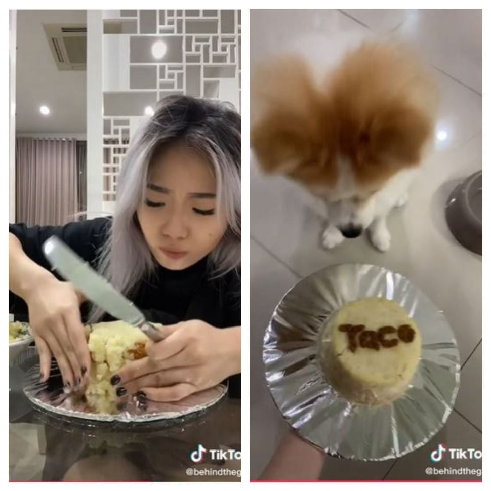 Kue ulang tahun untuk anjing (TikTok @behindthegab)