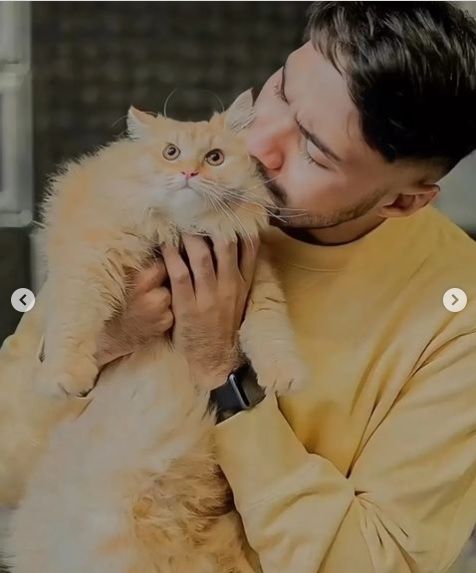 Momen Refal Hady Bareng Kucing Peliharaannya/Instagram/@refalhadylines