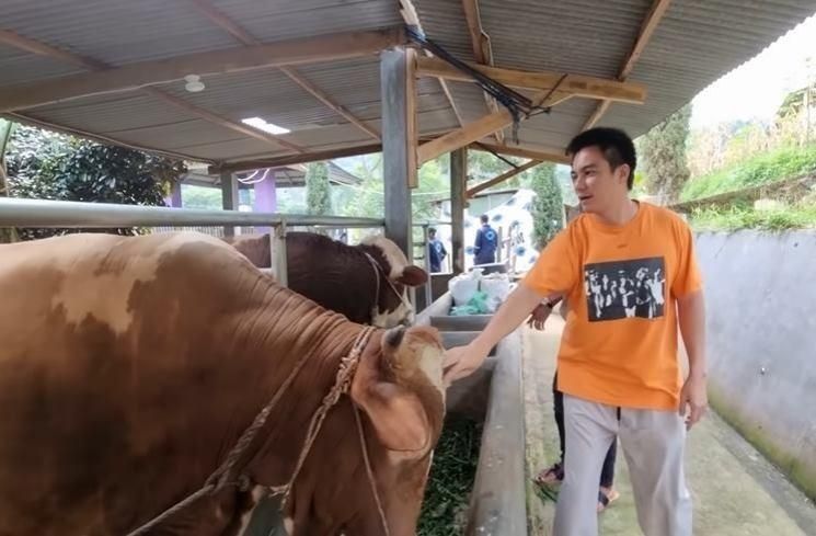 Momen Baim Wong Cari Sapi Kurban (YouTube/Baim Paula)