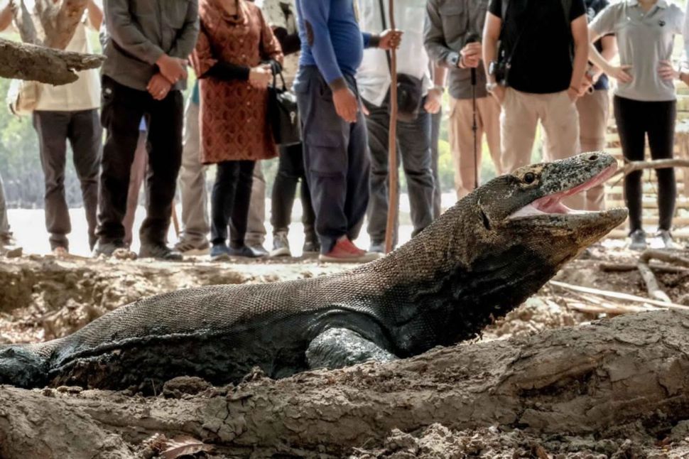 Taman Nasional Pulau Komodo. (Dok: Kemenparekraf)