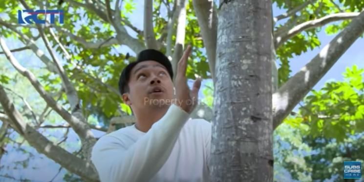 Potret Deva Mahenra Tampil Perdana di Ikatan Cinta. (YouTube/RCTI)