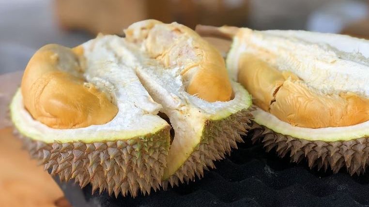 Ilustrasi durian. (Unsplash.com/  Jim Teo)