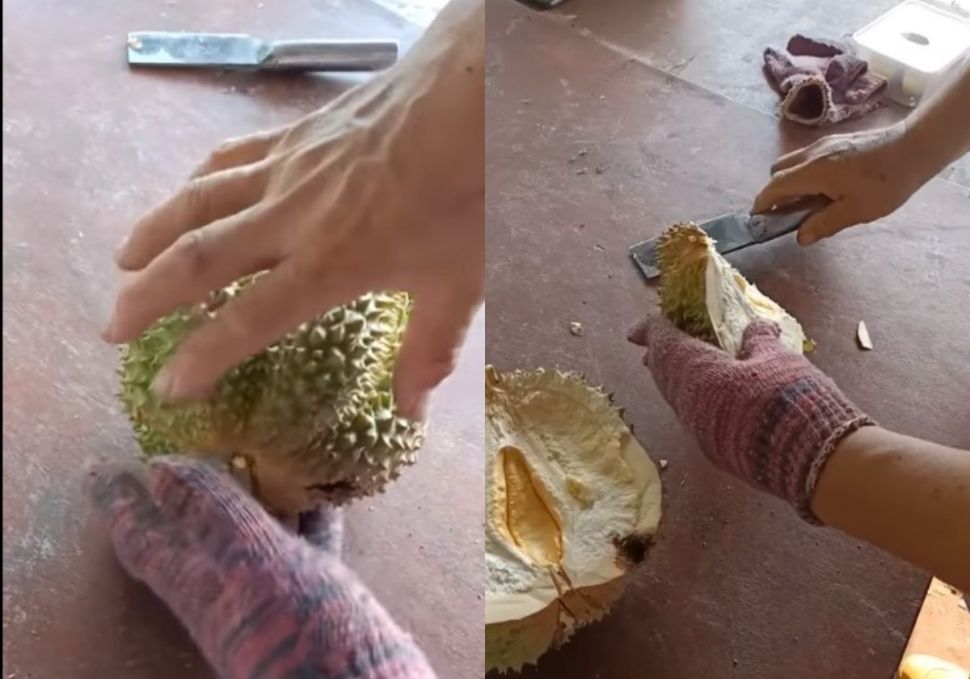 Durian zonk (ohbulan)