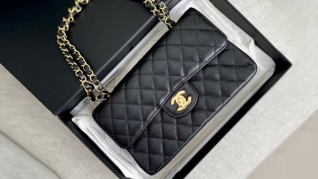 Chanel Classic Flap Bag (voilalux)