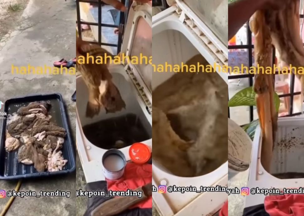 Aksi eksentrik pria cuci jeroan hewan kurban memakai mesin cuci (Instagram/ kepoin_trending)