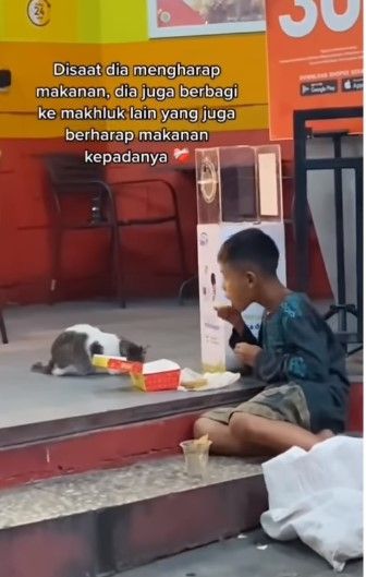 Bocah kasih makan kucing (Instagram/underc0ver)