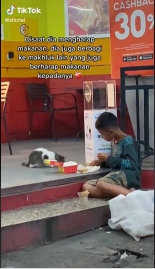 Anak jalanan berbagi makanan ke kucing liar (TikTok @shiztei)