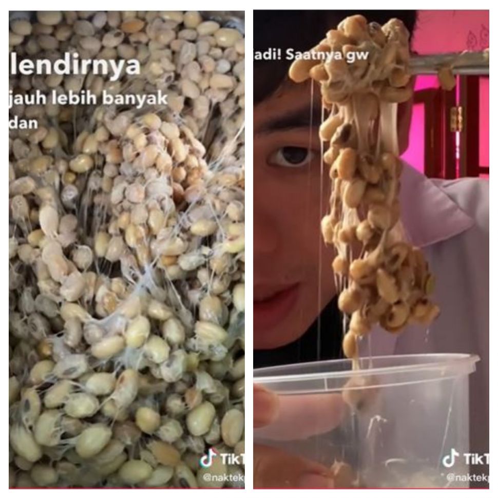 Membuat natto (TikTok @naktekpang)