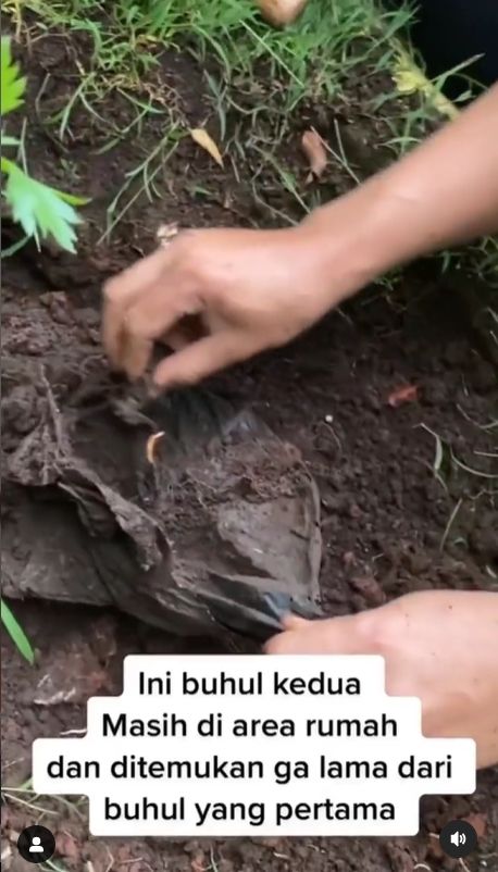 Seseorang pengguna media sosial mengunggah video yang membuat bulu kuduk warganet bergidik. Sebab, ia merekam penggalian barang-barang aneh yang ditanam di pekarangan rumahnya oleh seseorang dan diduga sebagai santet. [Instagram]