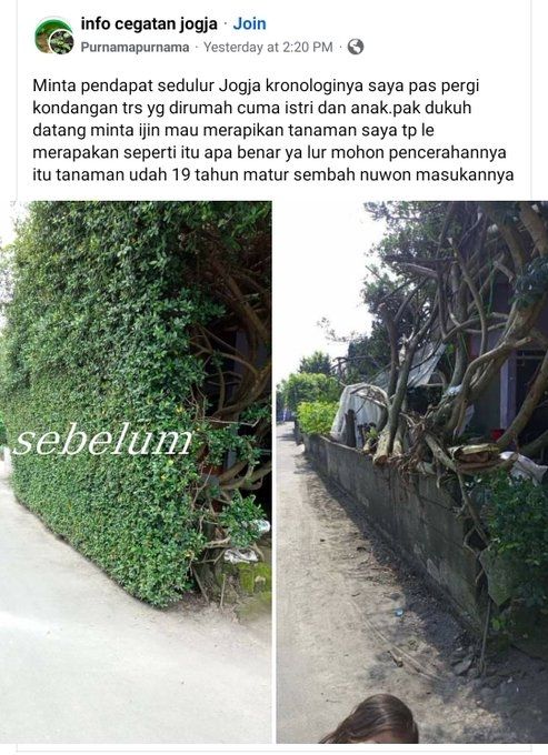 Unggahan curhatan tanaman dirapikan pak Dukuh. (Facebook)