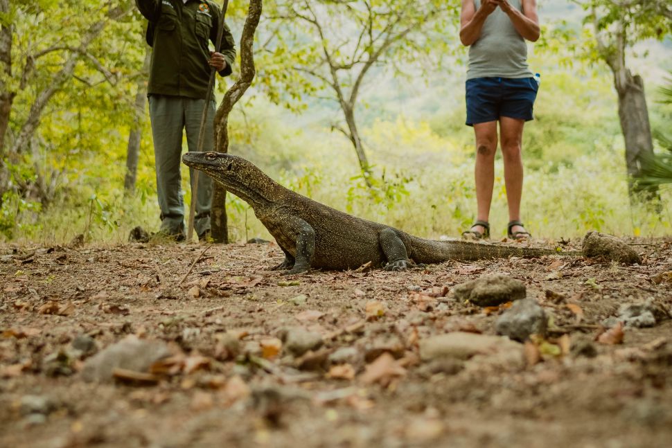 Taman Nasional Komodo. (Tim Pelaksana Penguatan Fungsi Taman Nasional Komodo)