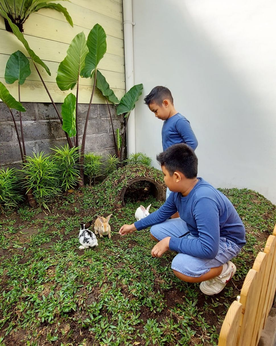 Playground dan Mini Zoo di Dafam Fortuna Yogyakarta (Istimewa/Dafam Fortuna Yogyakarta)