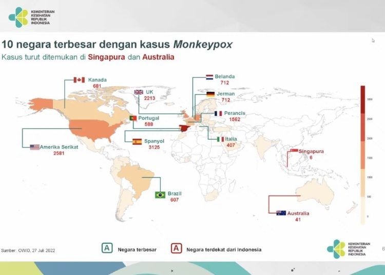 Penyebaran cacar monyet. (Dok: Kementerian Kesehatan)