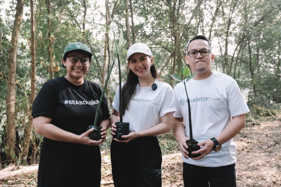 Hari Mangrove Sedunia (Dok. Ist)