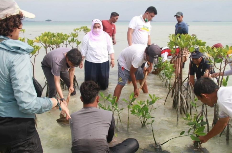 Penanaman pohon mangrove. (Dok: Pemprov DKI Jakarta)