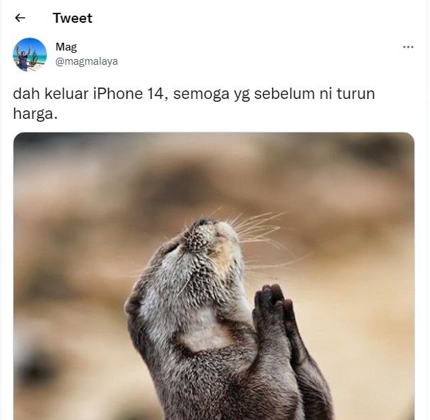 Netizen berdoa untuk penurunan harga iPhone 13 di Twitter  (Twitter / @magmalaya)