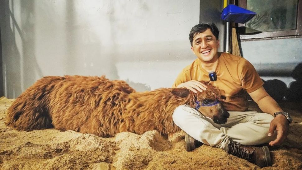 Potret Irfan Hakim Bersama Alpaca (Instagram/@irfanhakim75)