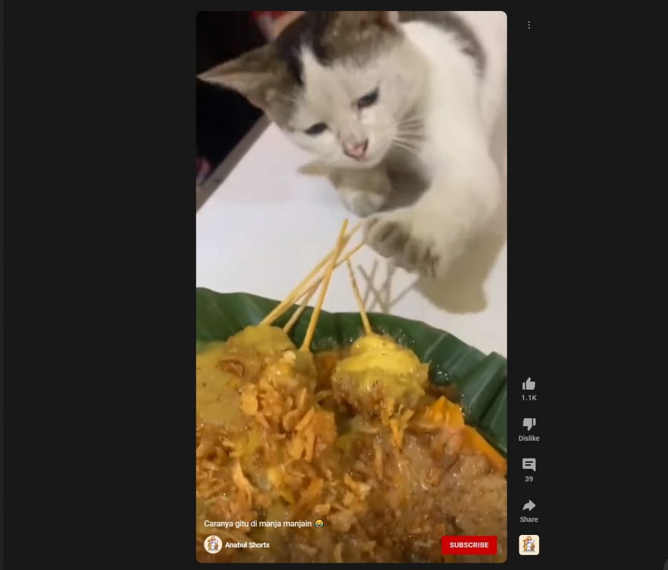 Kucing pura-pura tidur demi Sate Padang. (Dok. Youtube/Anabul Shorts)