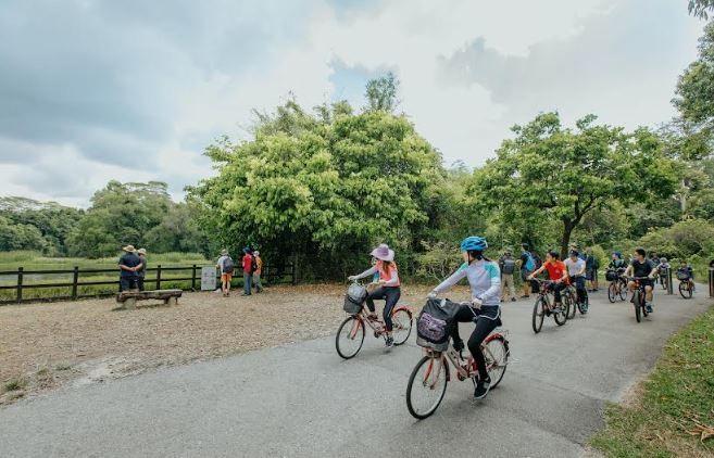 Cycylig at Pulau Ubin menjadi salah satu daya tarik wisata Singapura. (Agoda)