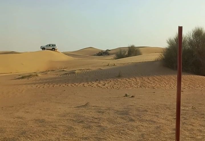Dubai Desert Safari (Arabian Adventure)