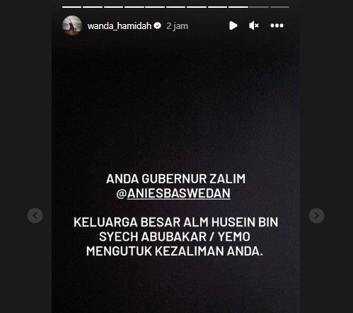 Wada Hamidah mengecam Anies Baswedan (Instagram)