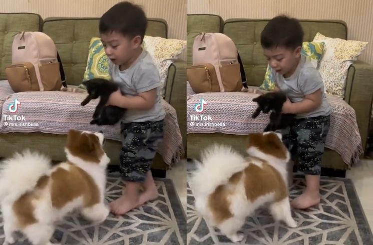 Momen Baby Air Rumi Anak Irish Bella Nangis Diganggu Anjing (TikTok/@mrs.irishbella)