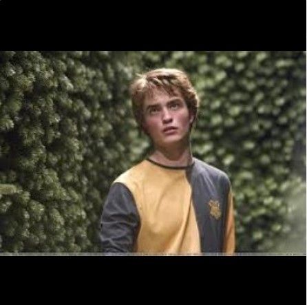 Cedric Diggory (Instagram)