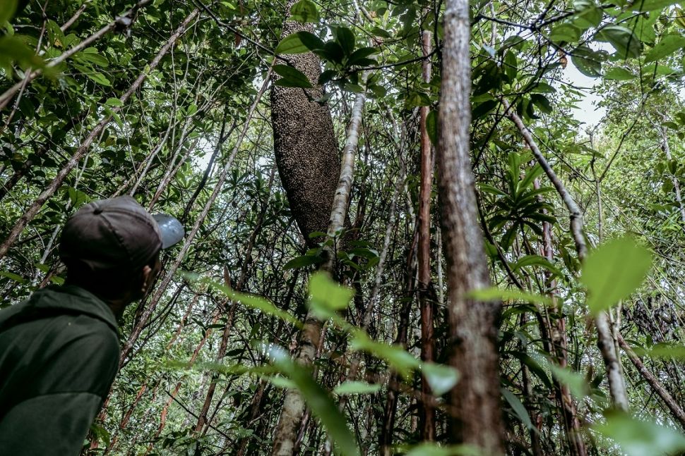 Lanskap Adat, Berpotensi Menjadi Wilayah Konservasi di Pulau Bangka
