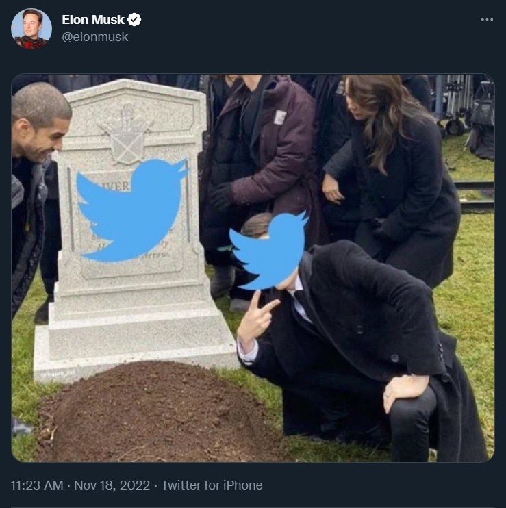 Meme twitter Elon Musk. (dok. Twitter)