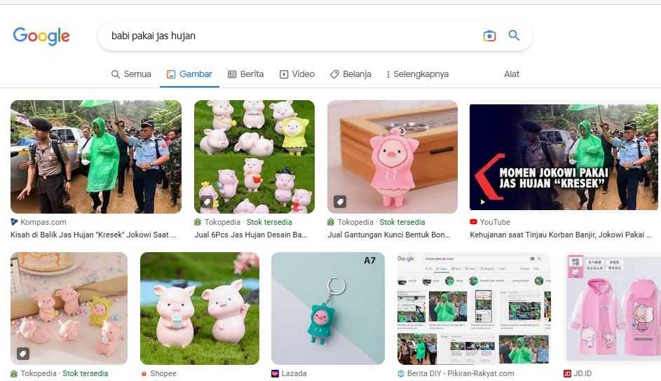 Hasil pencarian dengan frasa babi pakai jas hujan di Google. [Dok Google]
