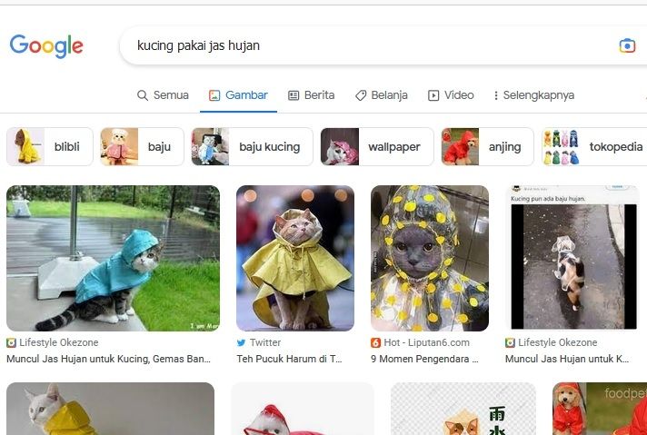 Hasil pencarian dengan frasa kucing pakai jas hujan di Google. [Dok Google]