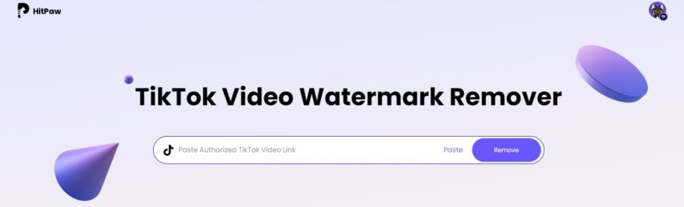 TikTok Video Watermark Remover. (Dok: Hitpaw)