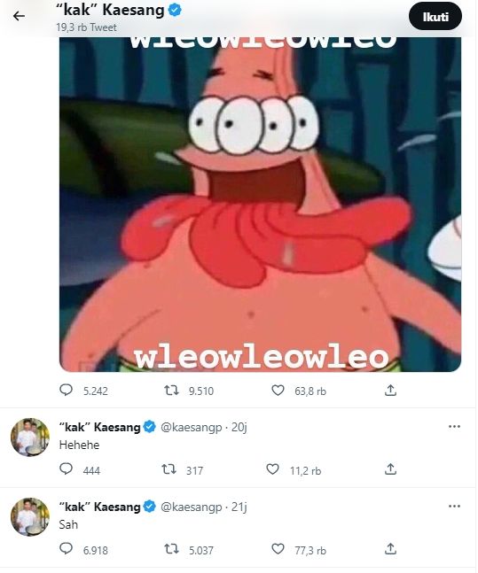 Meme Wleowleo (Twitter Kaesang Pangarep)