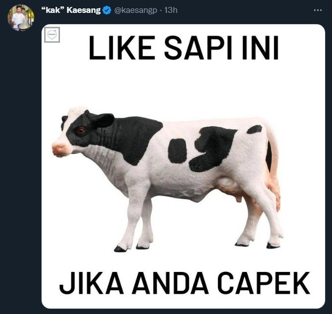 Meme pernikahan Kaesang Pangarep. (Dok. Twitter)